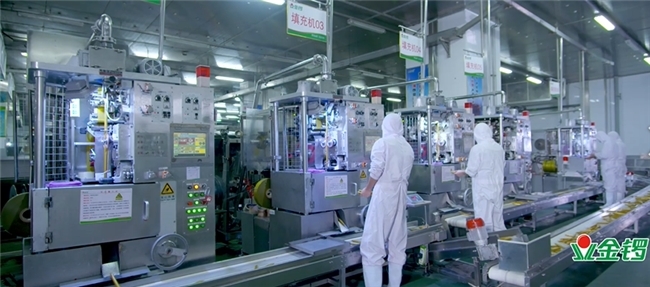 金锣积极践行节能降碳目标,为绿色发展道路舔砖助力