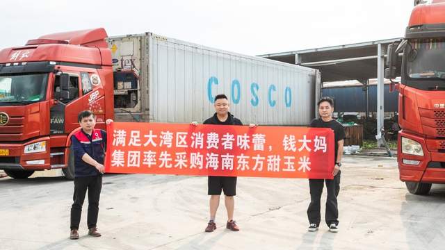 钱大妈直采海南东方玉米，新鲜直达大湾区消费者餐桌